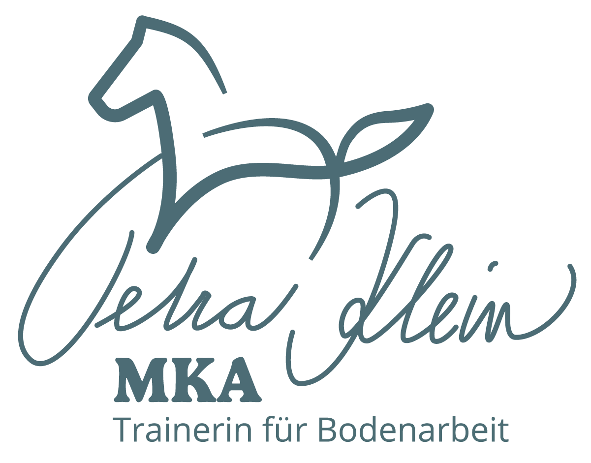 MKA Horsemanship, Bodenarbeit, Mobiles Training, Bad Wurzach, Bad Waldsee, Ravensburg, Leutkirch