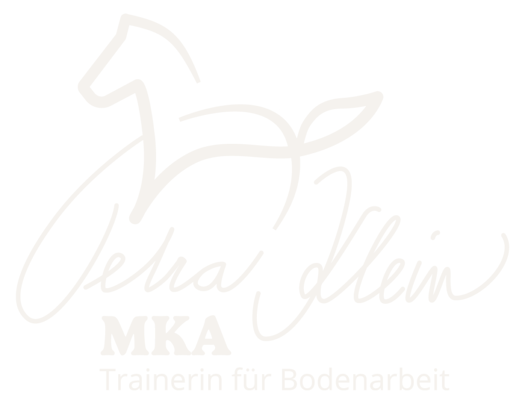 MKA Horsemanship, Bodenarbeit, Mobiles Training, Bad Wurzach, Bad Waldsee, Ravensburg, Leutkirch